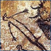Peinture pariétale à la grotte de Lascaux II